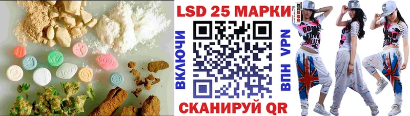 где продают наркотики  Приозерск  ЛСД экстази ecstasy 