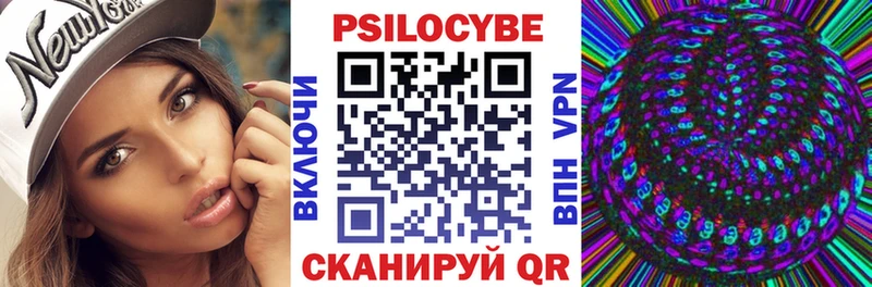 Галлюциногенные грибы Psilocybe  Приозерск 